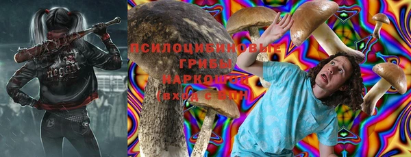 соль ск Богородск