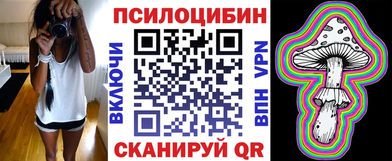 Галлюциногенные грибы GOLDEN TEACHER  mega ССЫЛКА  Котовск 